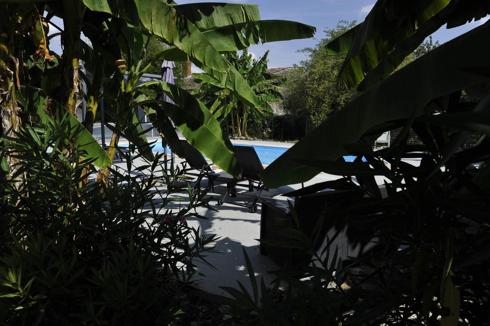 Jardin D'Arcy - Chambres D'Hotes Avec Piscine Et Spa Bois Eksteriør billede